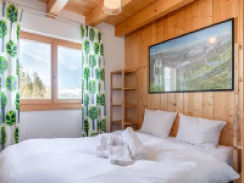 Chalet Belle Roche Recently Renovated Jacuzzi Hotels in Riddes
