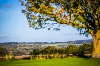 The Binsted Inn Hotel a Binsted