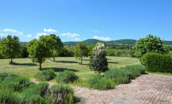Agriturismo "La Fraschetta"