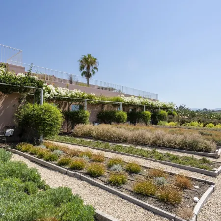 La Foresteria Planeta Wine Resort & Beach Club