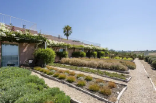 La Foresteria Planeta Wine Resort & Beach Club