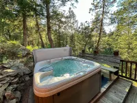 Juniper Lodge & Treehouses Hotels in Evergreen