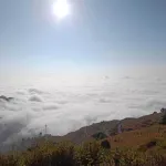 Aranyam Hills Hotels near Chandra Mohan Singh Negi Park