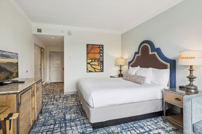 Other Dollywood's DreamMore Resort Photo