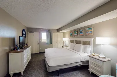 16th floor ocean view condo w/ central AC, shared pool/hot tub, balcony, WiFi Hotels near T.I.G.E.R.S. Preservation Station