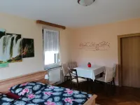 Apartment in Klingenthal Near Ski Area