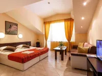 Spa Hotel Aspa Vila Hotels in Razlog