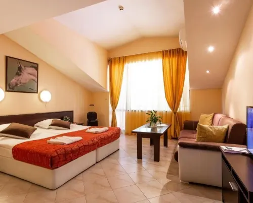 Spa Hotel Aspa Vila Hotels in Razlog