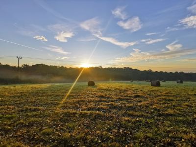 Surroundings Gorgeous Horsebox at Glamp in Style in East Sussex Photo