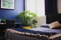 Free Spirit Hostel Guadalajara