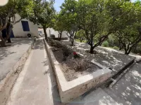 Diamoni Afroditi