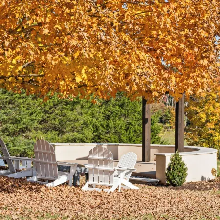 Afton Mountain Vineyards