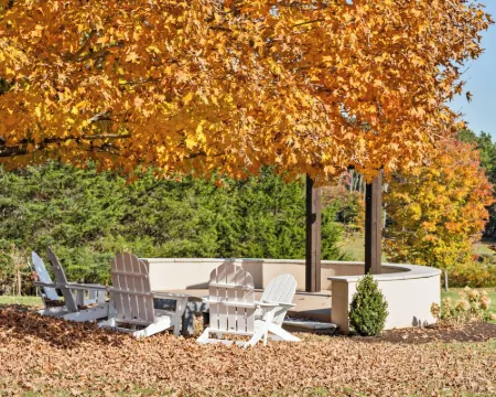 Afton Mountain Vineyards Hotels in Nelson County