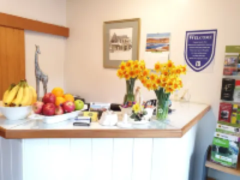 Fitzherbert Castle Motel Hotels in Palmerston North