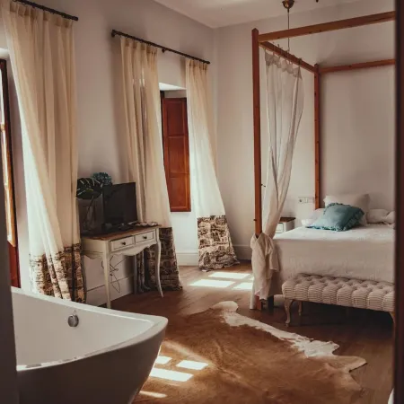 Hotel Luz Almonaster