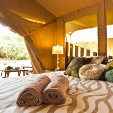 Wildebeest Eco Camp