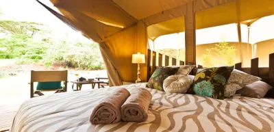 Wildebeest Eco Camp Hotels near Game Karen Waterfront