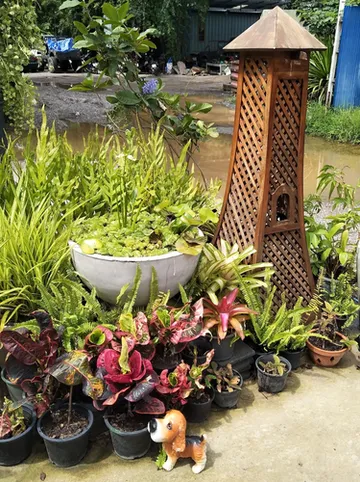 รูปภาพของรสริน การ์เด้นท์รีสอร์ท 2