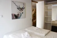 Apartment Monolith Black Forest Hotels in Schonach