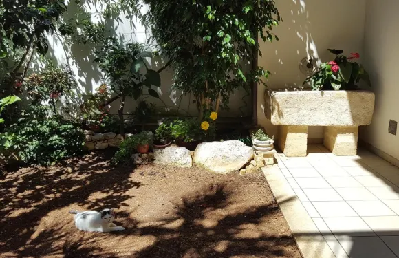 費德里克二世住宿加早餐旅館