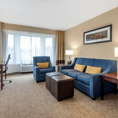 Comfort Inn & Suites Montpelier-Berlin