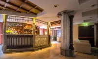BV Grand Hotel Assisi - bar