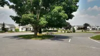 Spruce Lane Lodge and Cottages