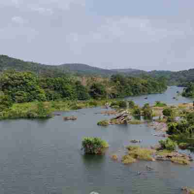 Paradise Wild Hills Kodachadri Others