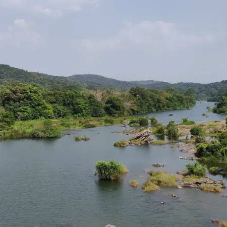 Paradise Wild Hills