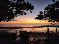 Casa Naranja Jungle Villa Hotels in Emerald Woods