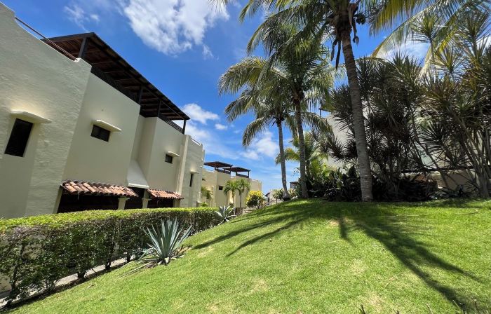 Tropical Gardens