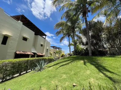 Tropical Gardens