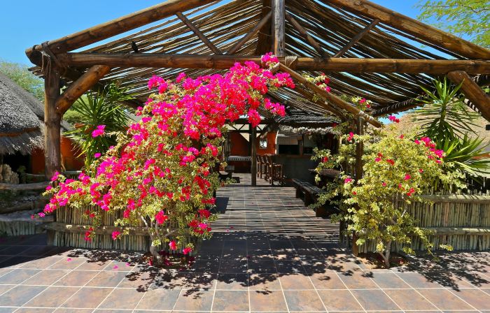 Solitaire Mountain Lodge