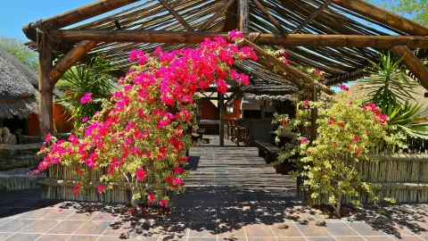 Solitaire Mountain Lodge in Solitaire