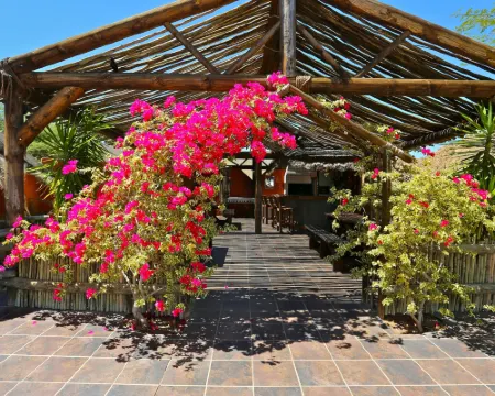 Solitaire Mountain Lodge Hotels in Solitaire