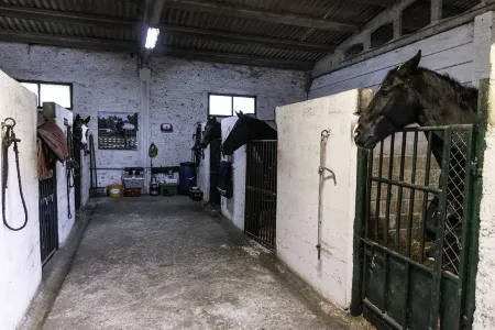 Agriturismo la Fontaccia