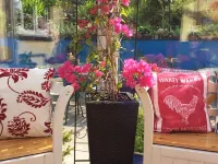 The Great Grubb Hotels in Totnes