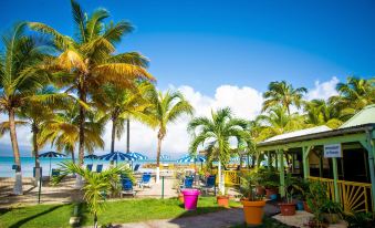 Canella Beach Hotel