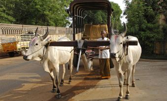 Visalam Chettinad Palace - a CGH Earth Experience