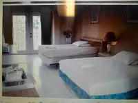 Adderley's Motel Hotels in Andros Town