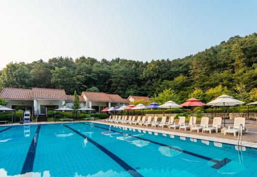 담양 호텔 분석 이미지