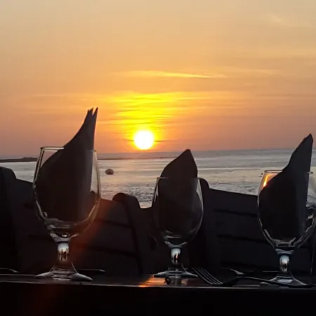 Hotel la Palapa