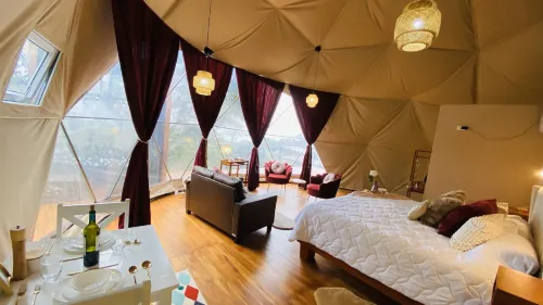 FéLIZA Rainforest Domes