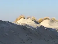 Exclusive 5-star vacation apartment in a top location, with sauna, fireplace & large balcony. Hotels in Borkum