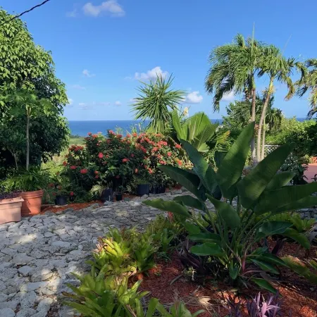 Sunshine & Happiness! 2 BR Home, pool & ocean view
