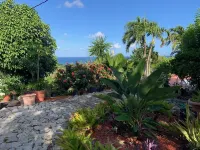 Sunshine & Happiness! 2 BR Home, pool & ocean view Hotels in Northcentral