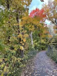 Beautiful cottage near river close to montreal