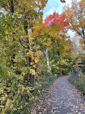 Beautiful cottage near river close to montreal Отели рядом с достопримечательностью «Laval Tourism»