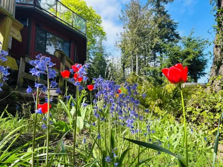 Beautiful, quiet place to stay with lovely beach access and stunning views. Отели рядом с достопримечательностью «Суорц Бэй Терминал»