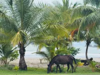 Beautiful Carillo poolside condo w/ AC! Location+